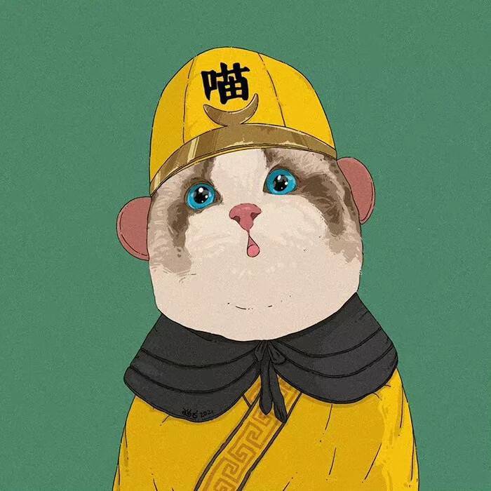 紫林追剧