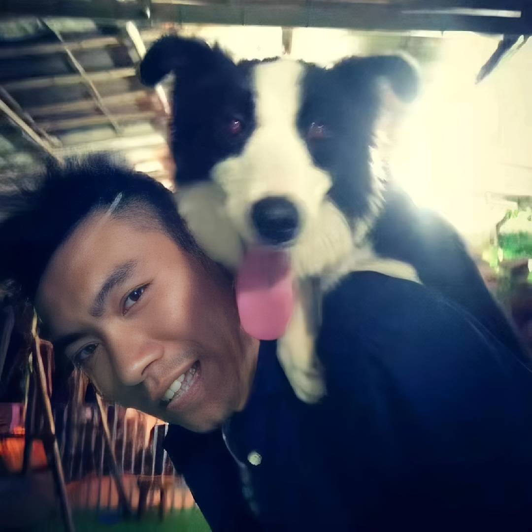 广州善宠宠训寄养