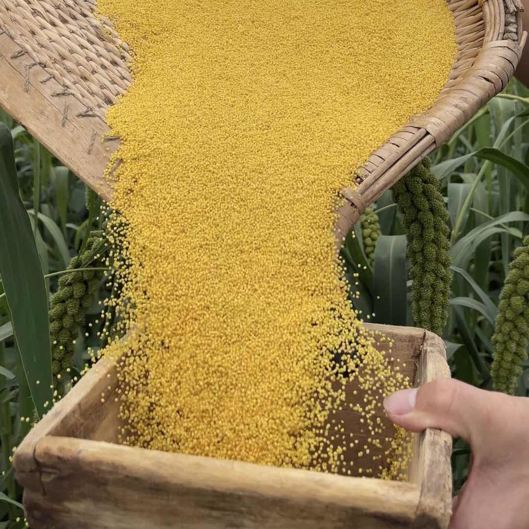 范范果蔬