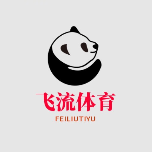 飞流体育