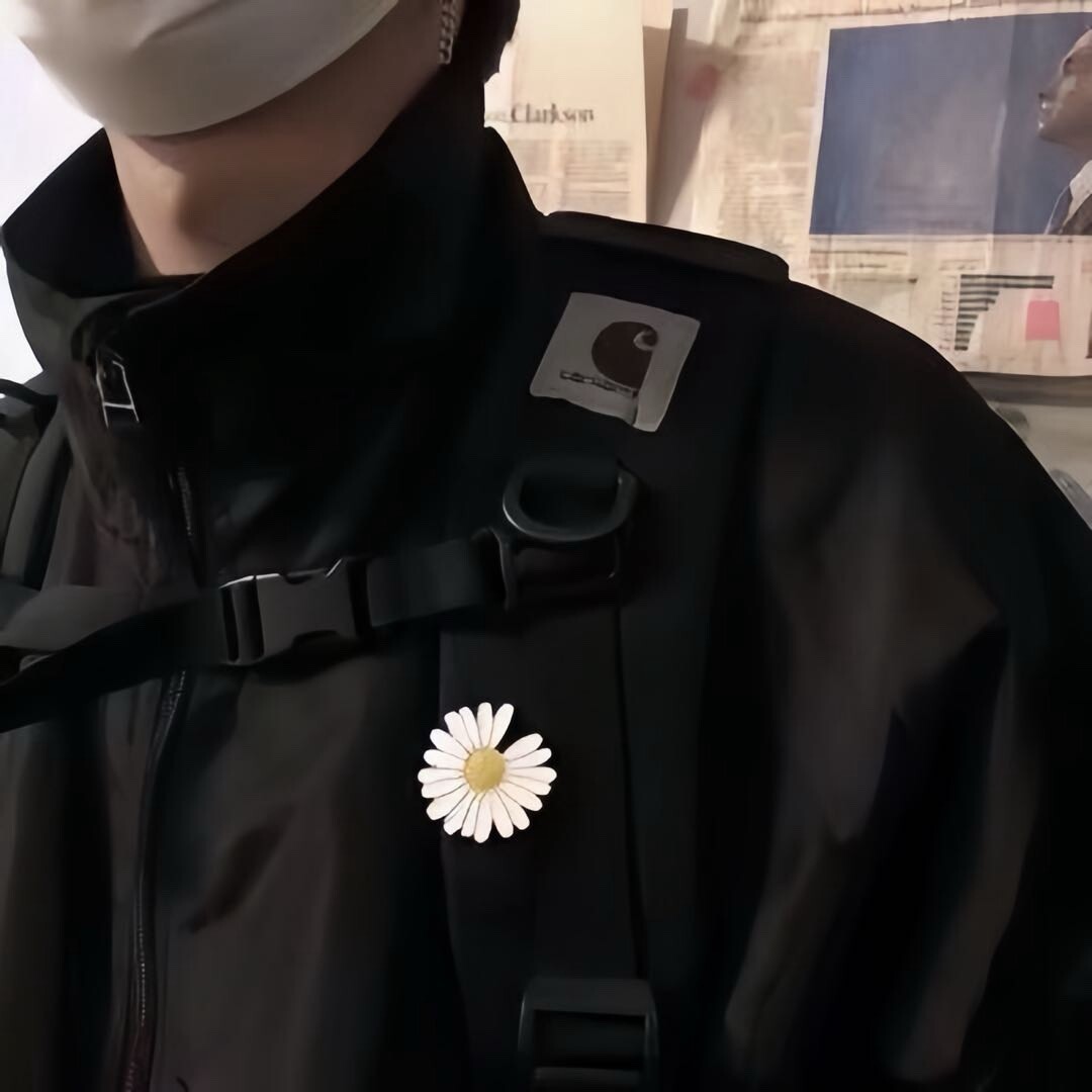 董志杨