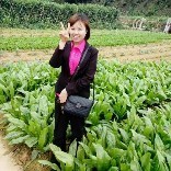 信天游傅月凤