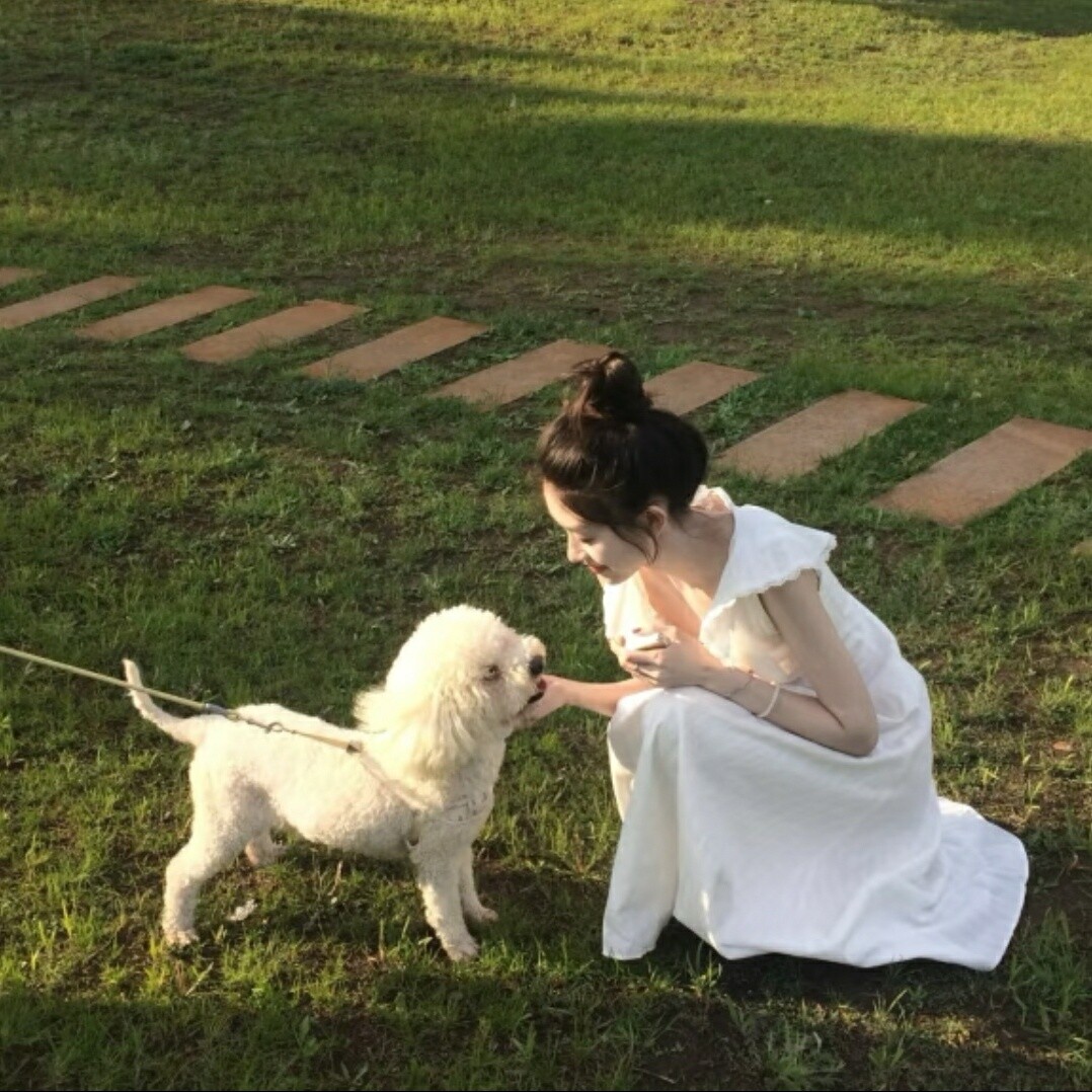 木木带您赏美景