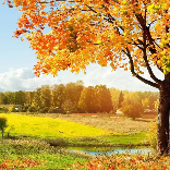 小明爱分享娱乐