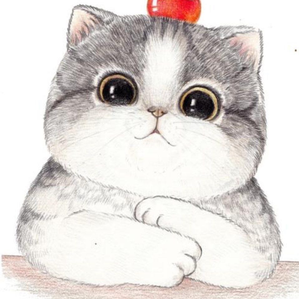 蓝猫多宝