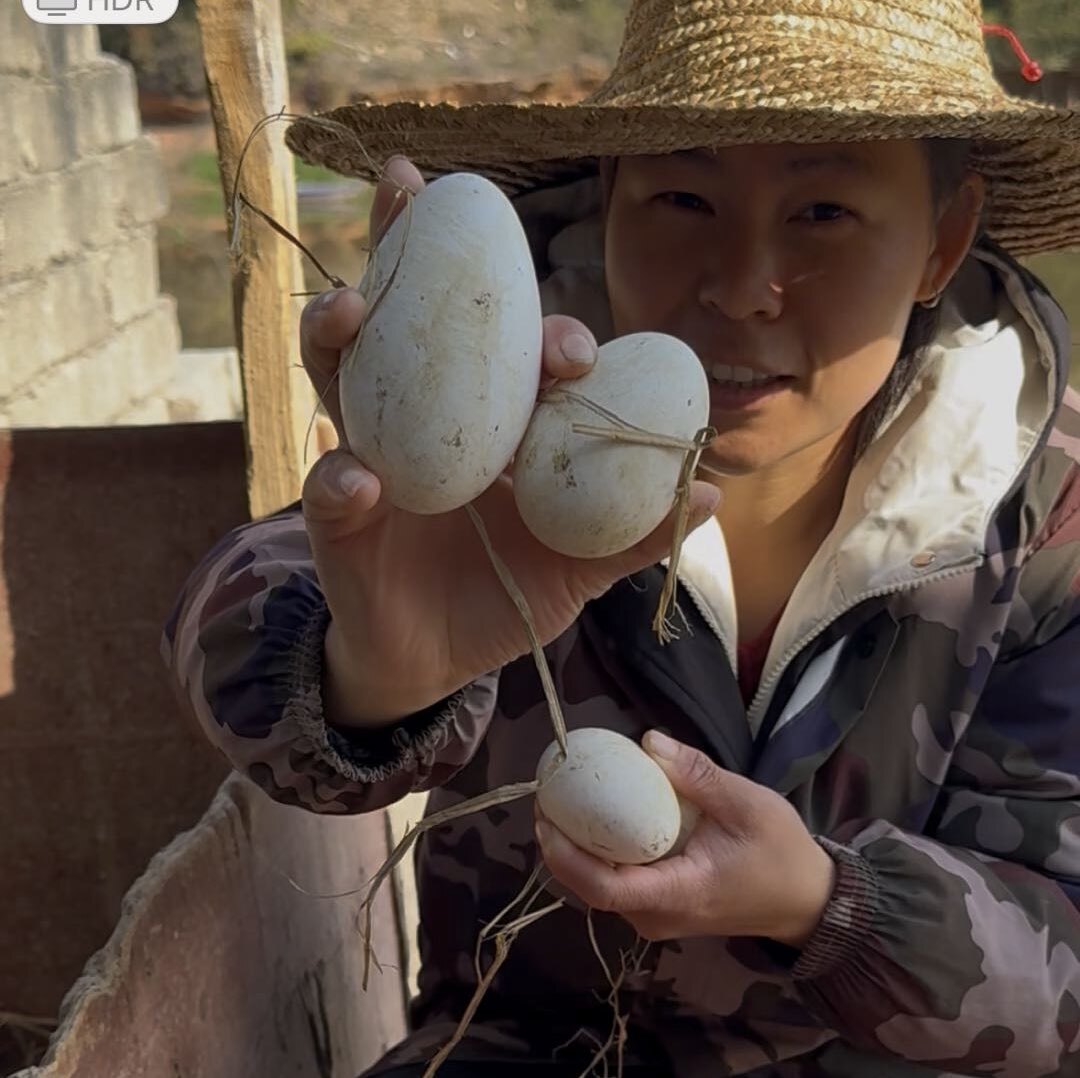 老妹家生态散养