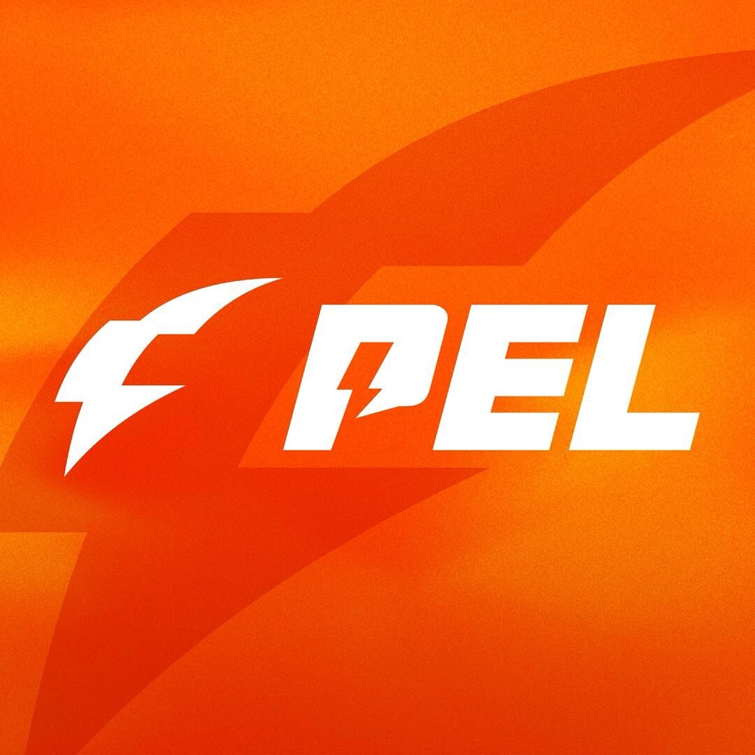PEL和平精英职业联赛