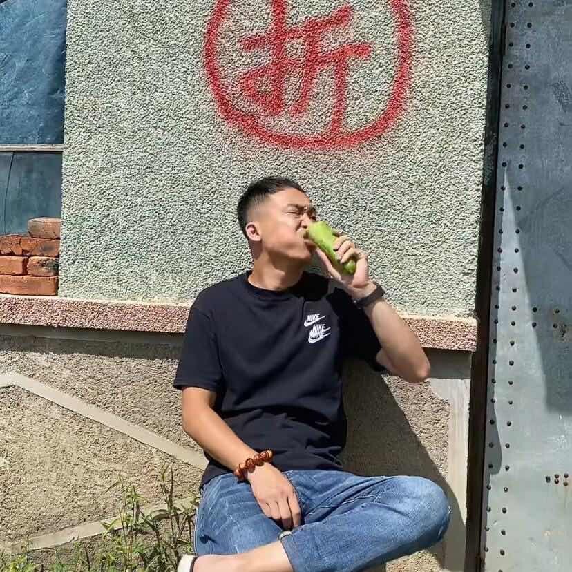 吉H-村草