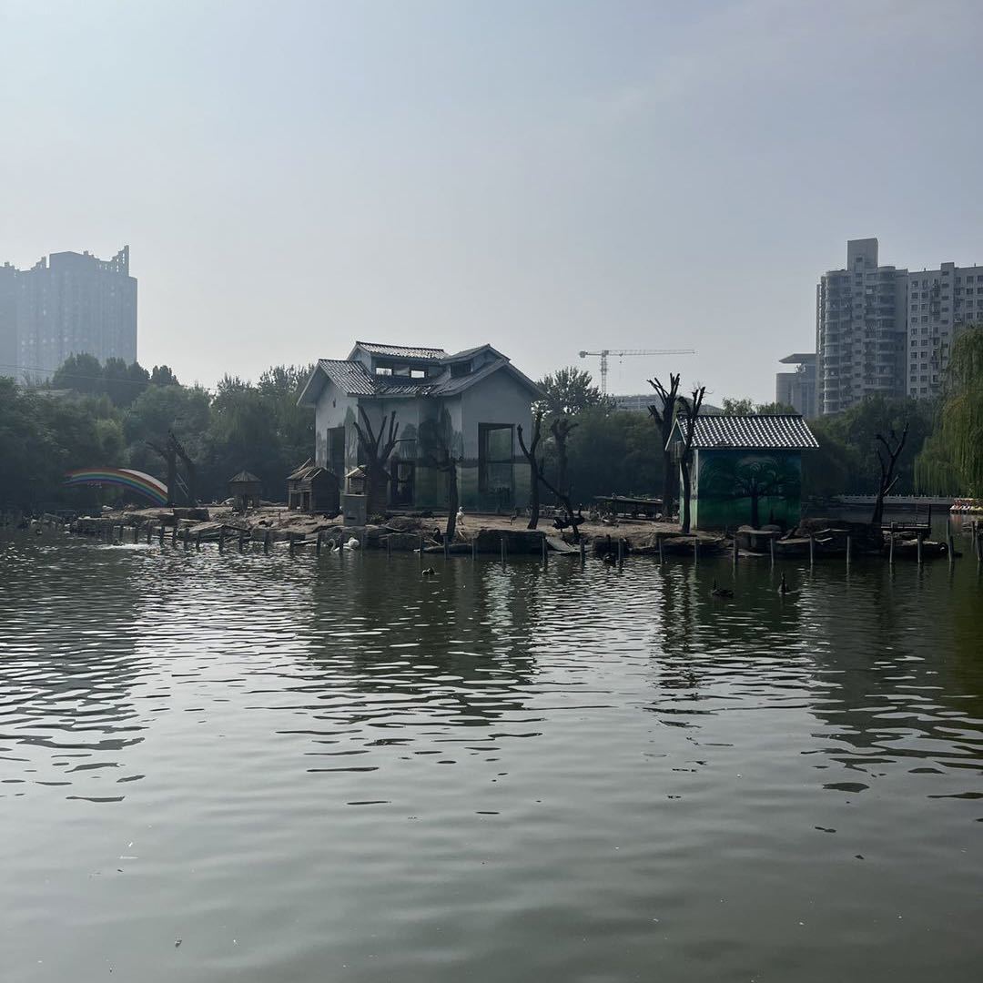 游戏推荐官老王