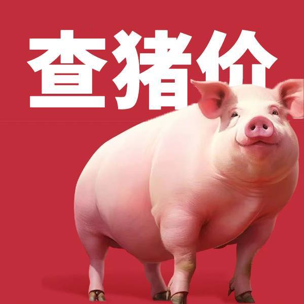 明日猪价行情通