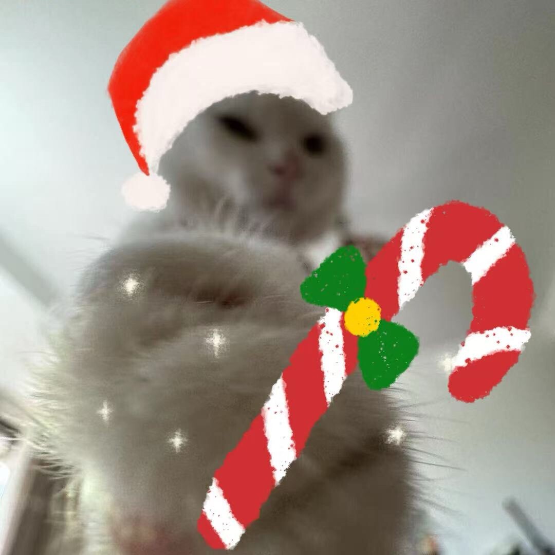 我是我是马小跳