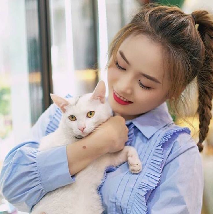 雨画春风尽
