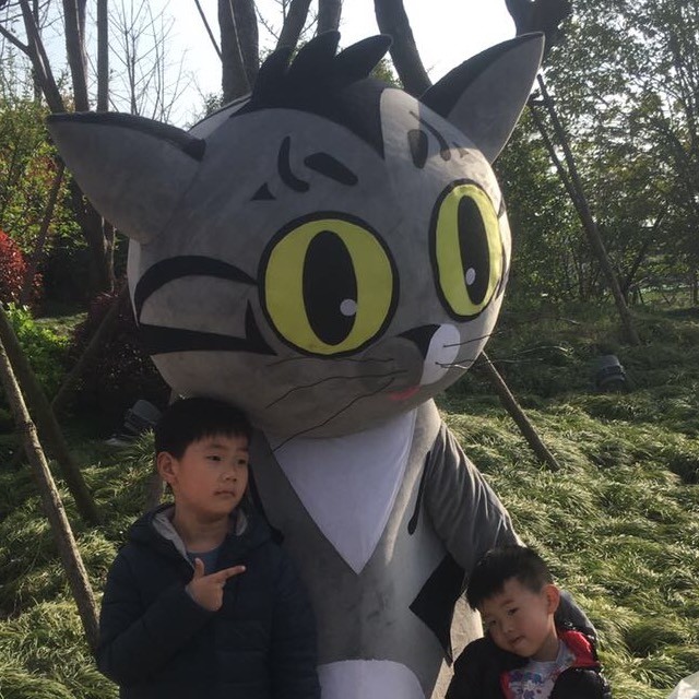 狸花猫电玩