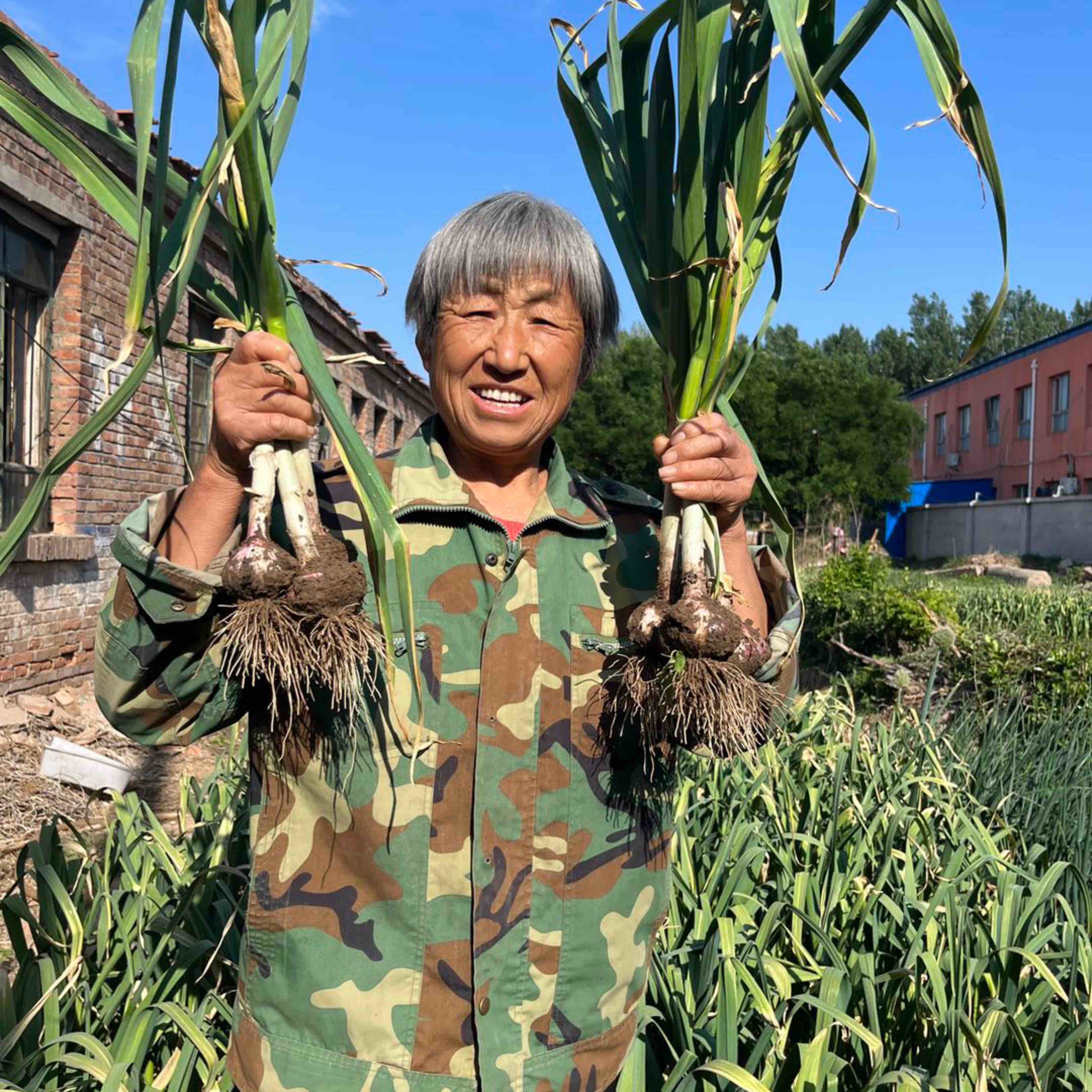 我的魏妈妈