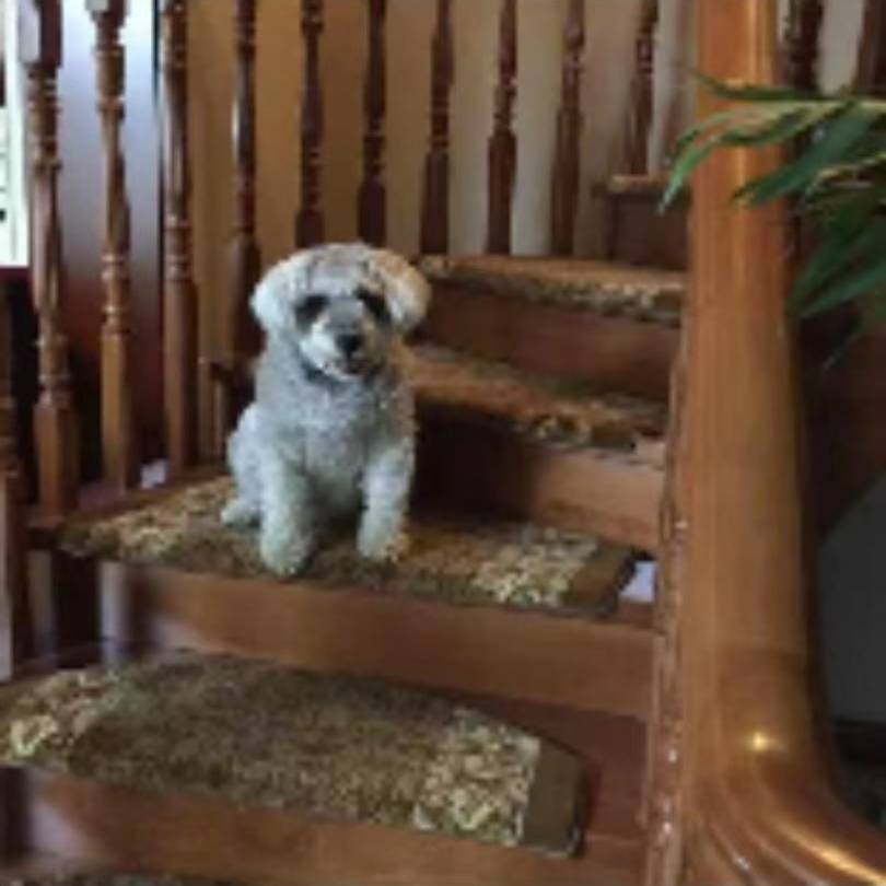 清茶一杯渡流年