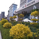 小花姐创业