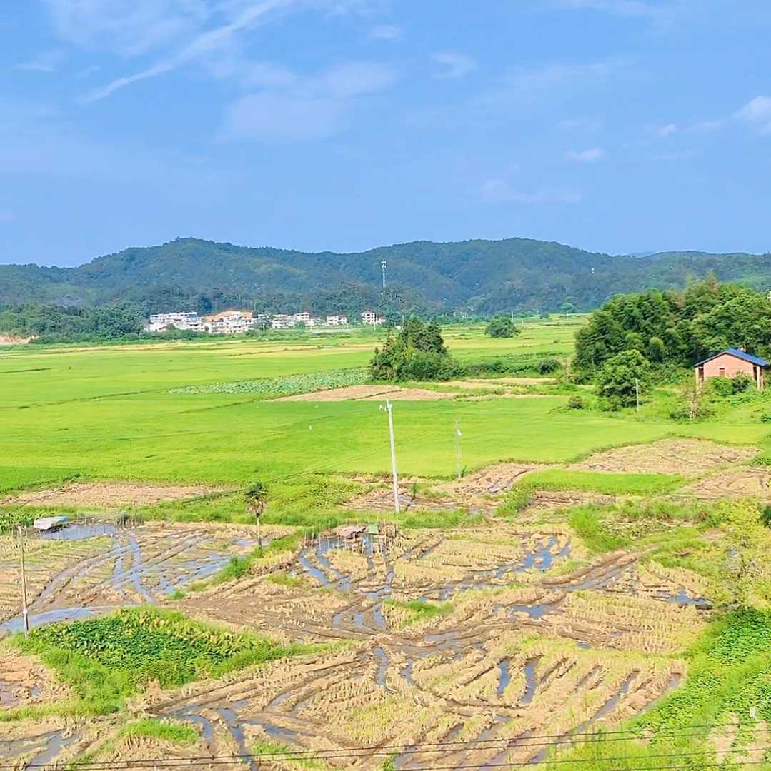 治愈系乡村记忆