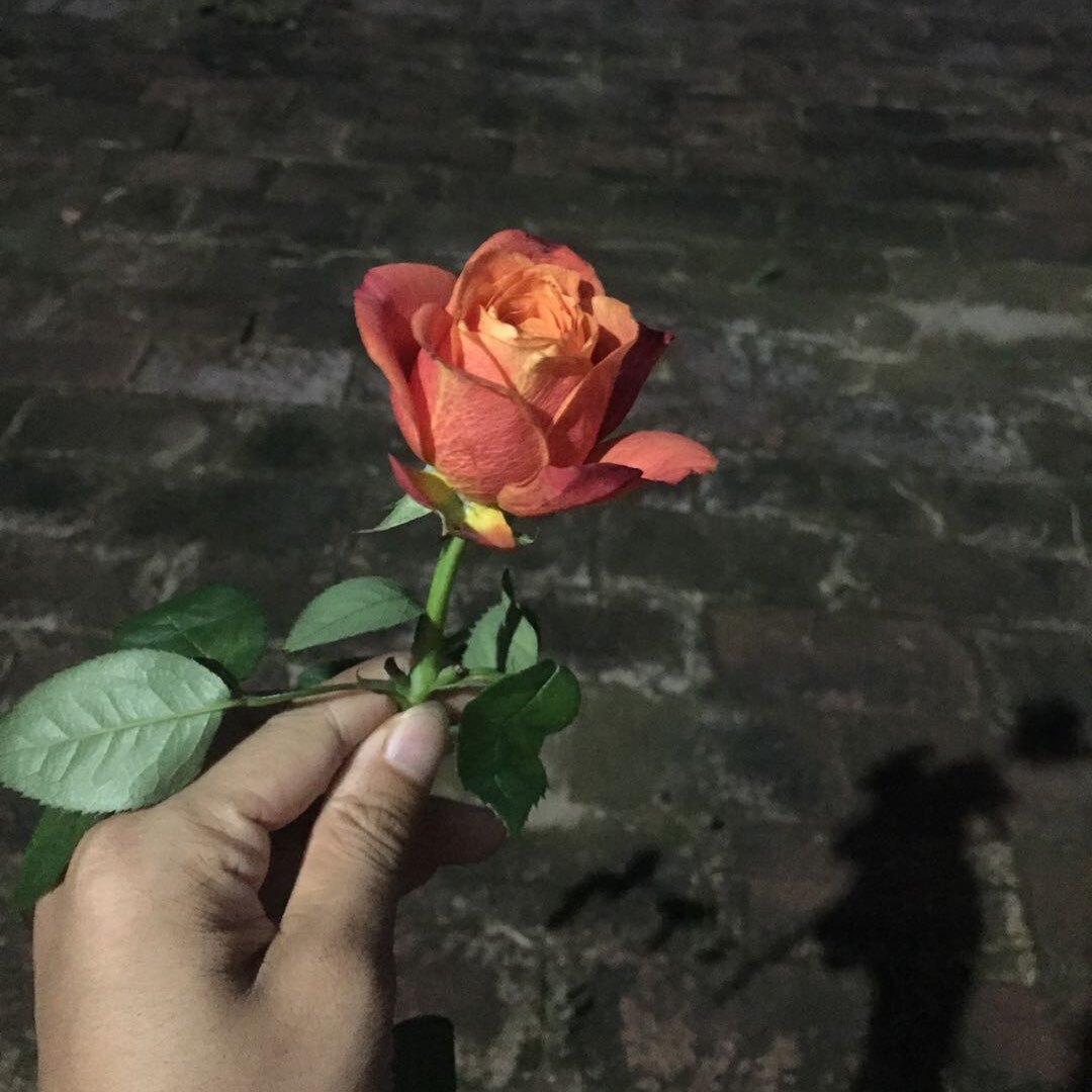 幸运星星会发光