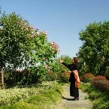 苏卫朗读散文诗词