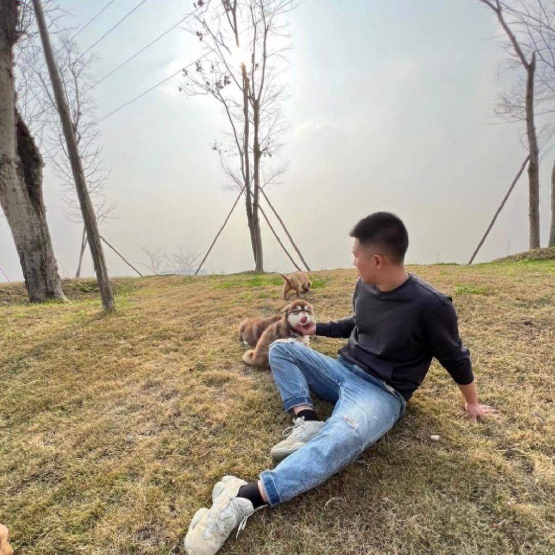 成都回锅肉宠物