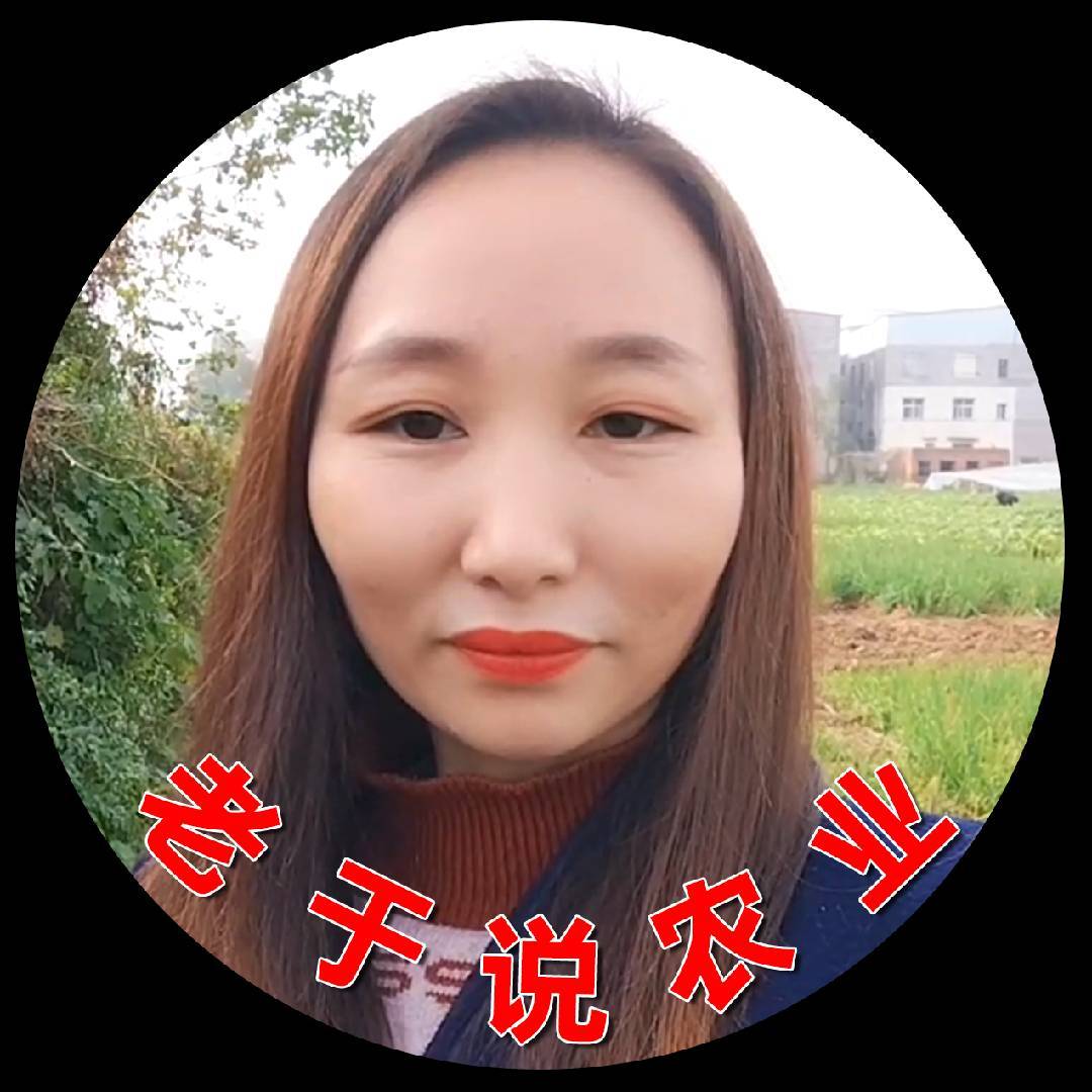 老于说农业