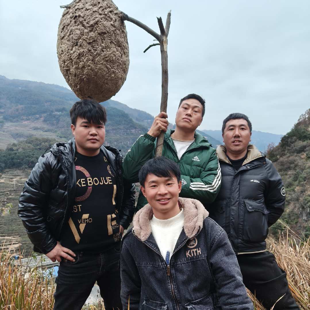 张军正能量