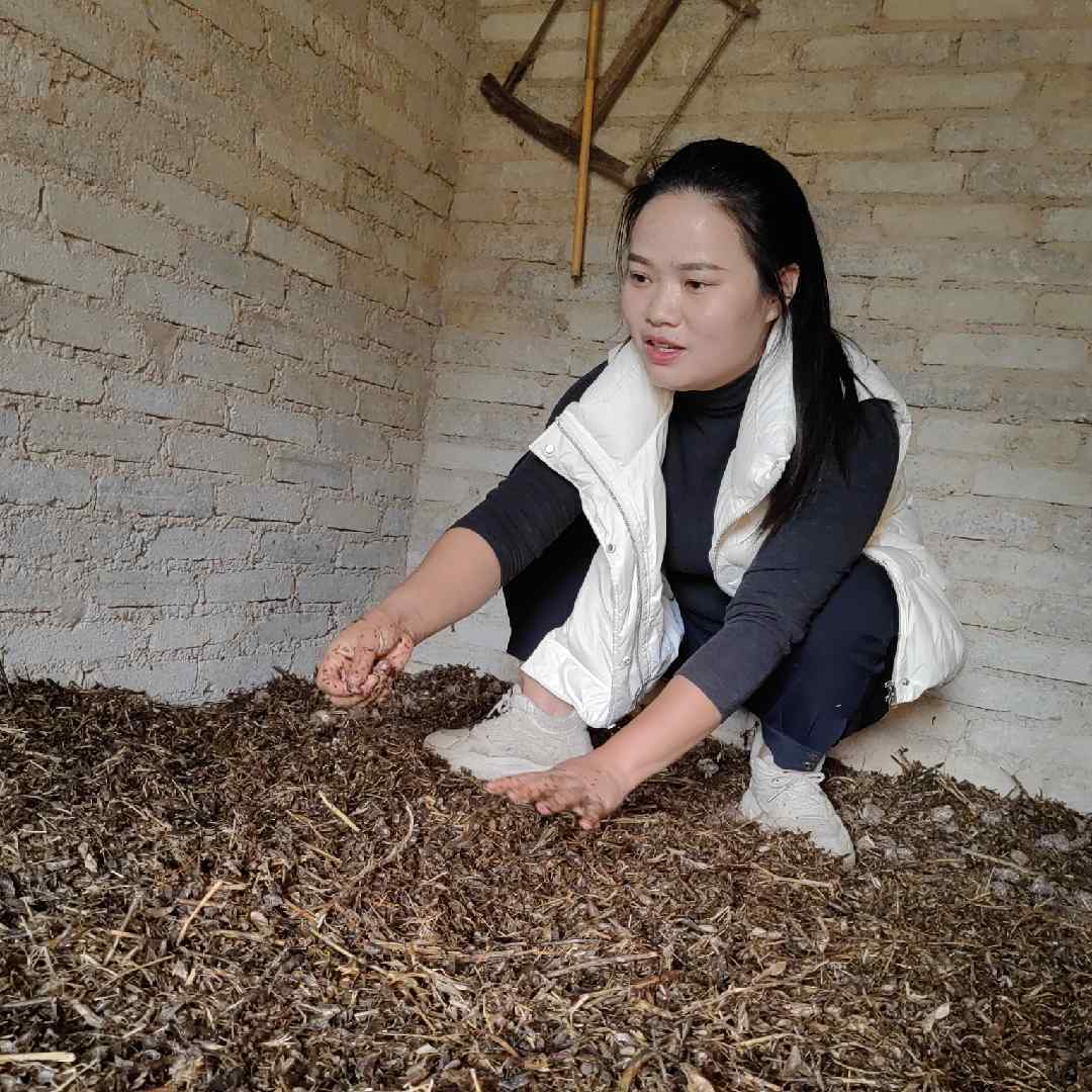 王静农村生活记录者