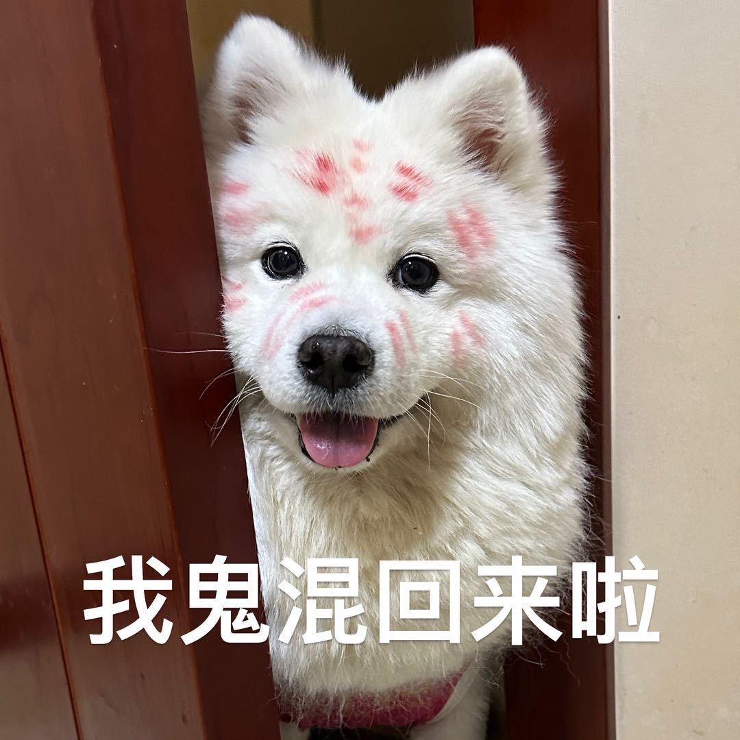 蕉太狼爱睡懒觉-