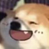 是魏十七呀