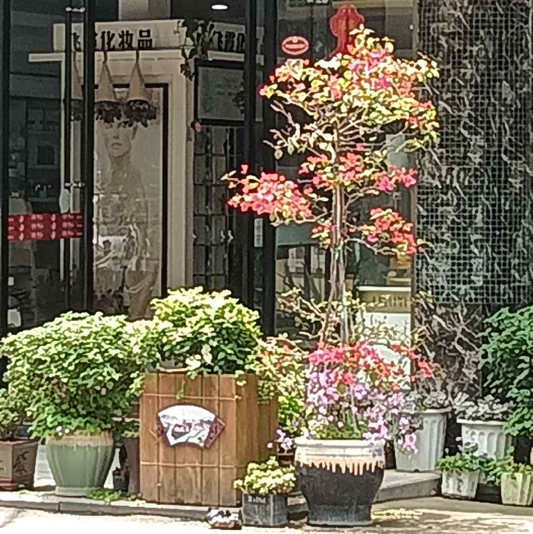 小爱音频