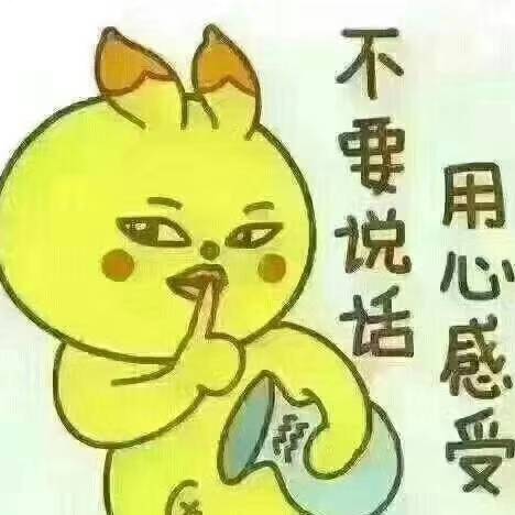 梅花1173