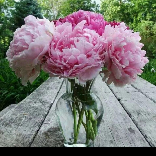 靖姐感恩舞蹈分享