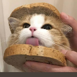 燕麦薯片