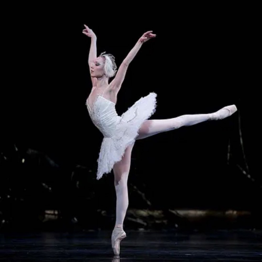 BotoBallet