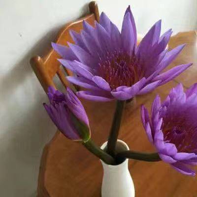 周老师讲三餐