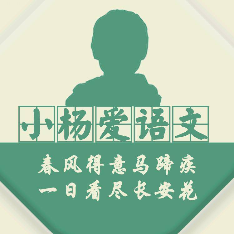小杨爱语文