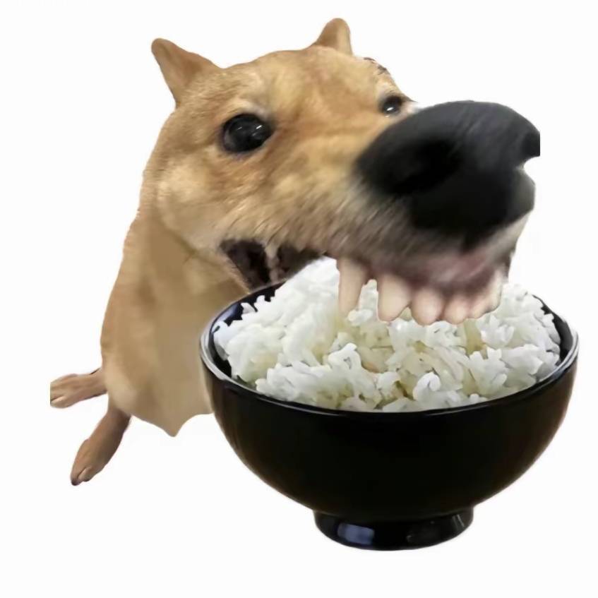 戏狗无畏契约