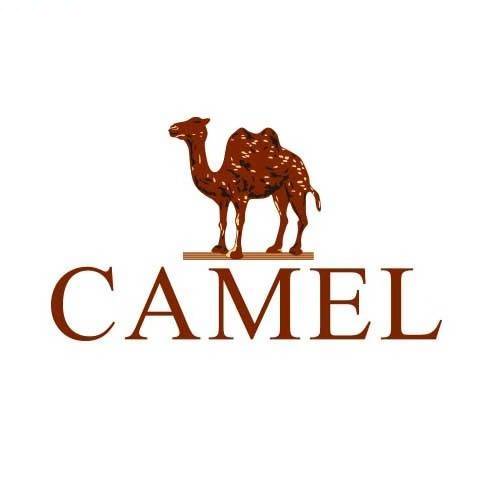 CAMEL骆驼