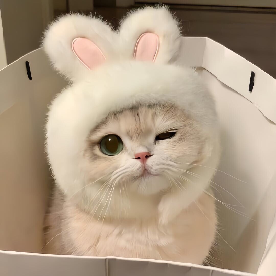 .可爱耶