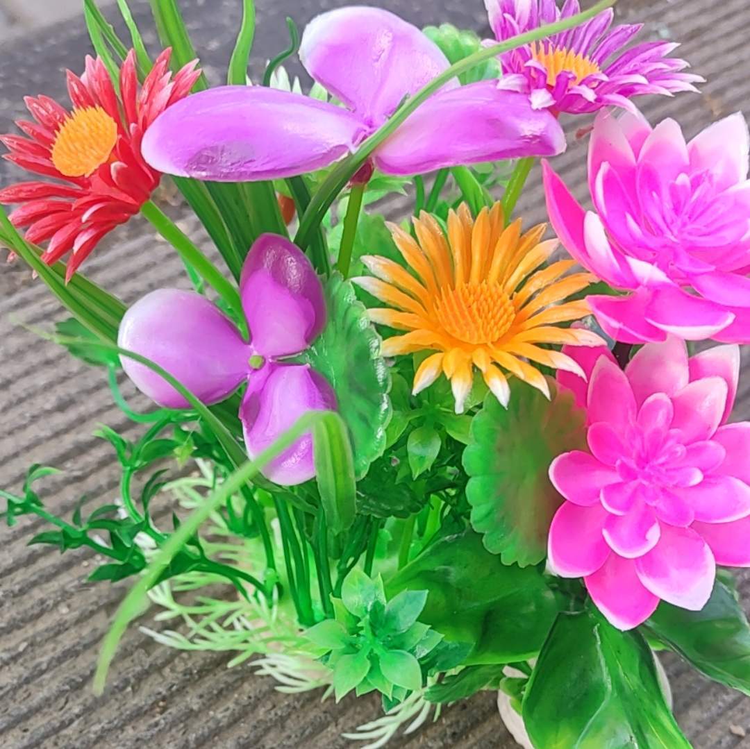 今生无悔在续前缘