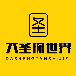 D大圣探世界