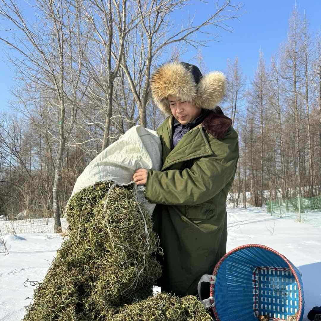 长白山特产小涛