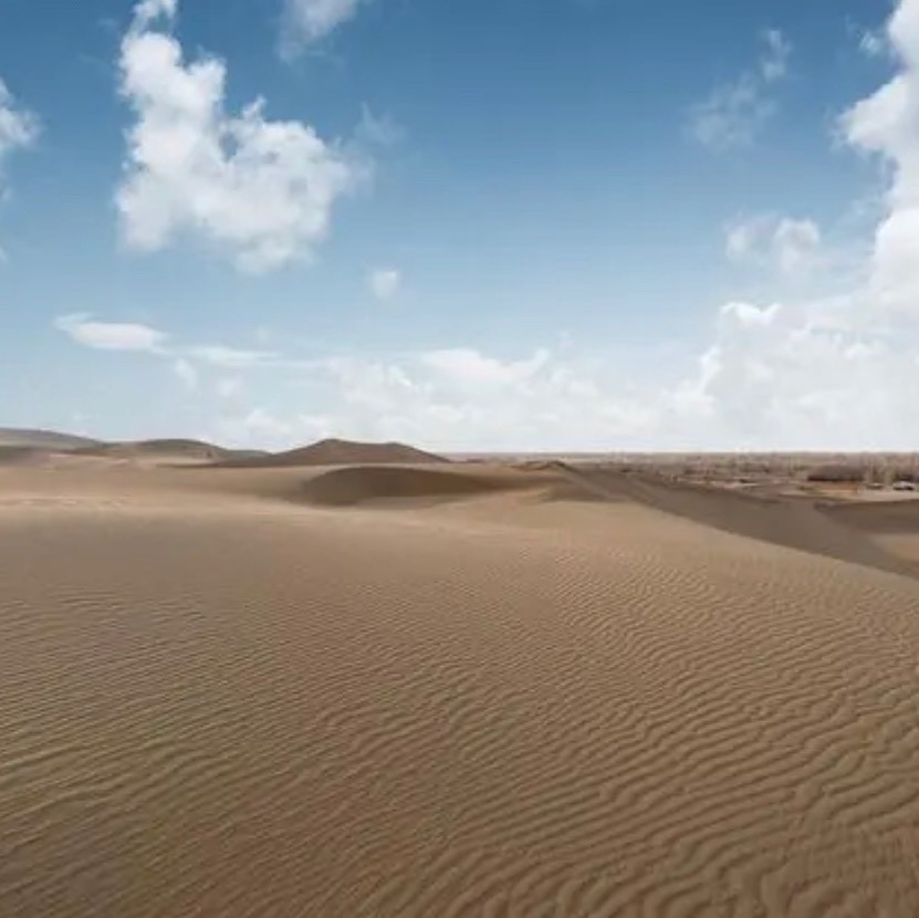 疆香百味新疆特产