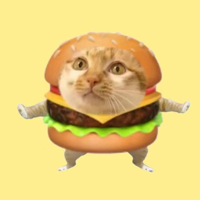 meme猫德堡