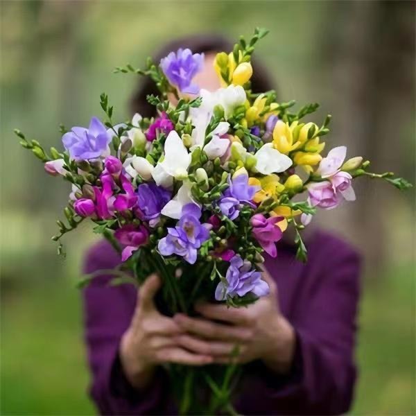 春暖花卉绿植
