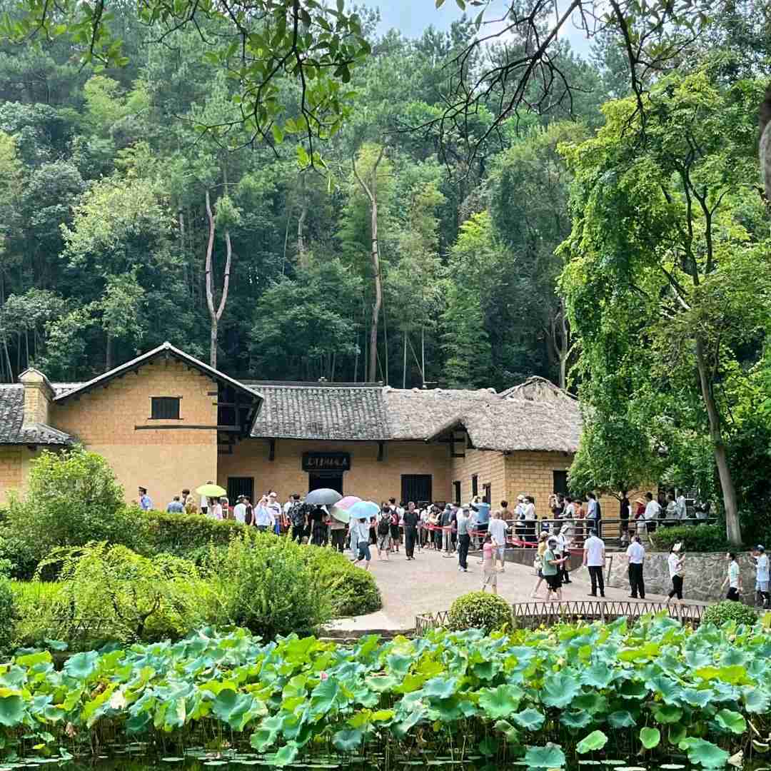 湖南韶山旅游接待苏苏