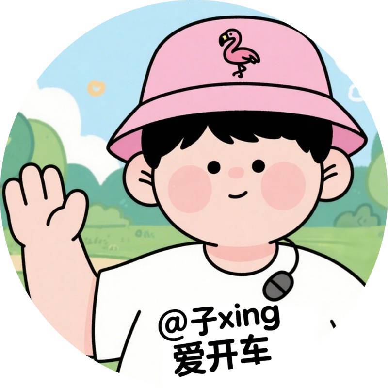 子xing爱开车