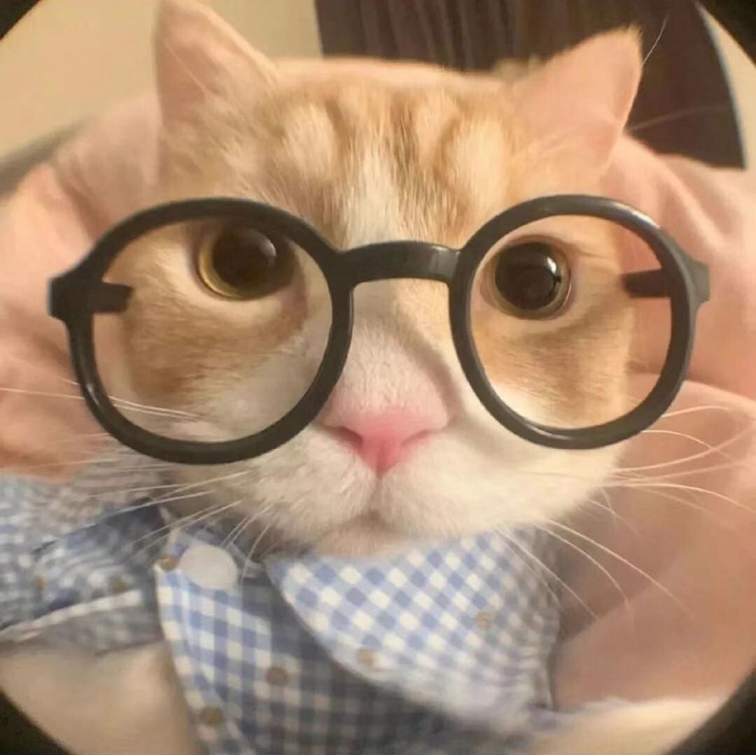 猫meme小帅