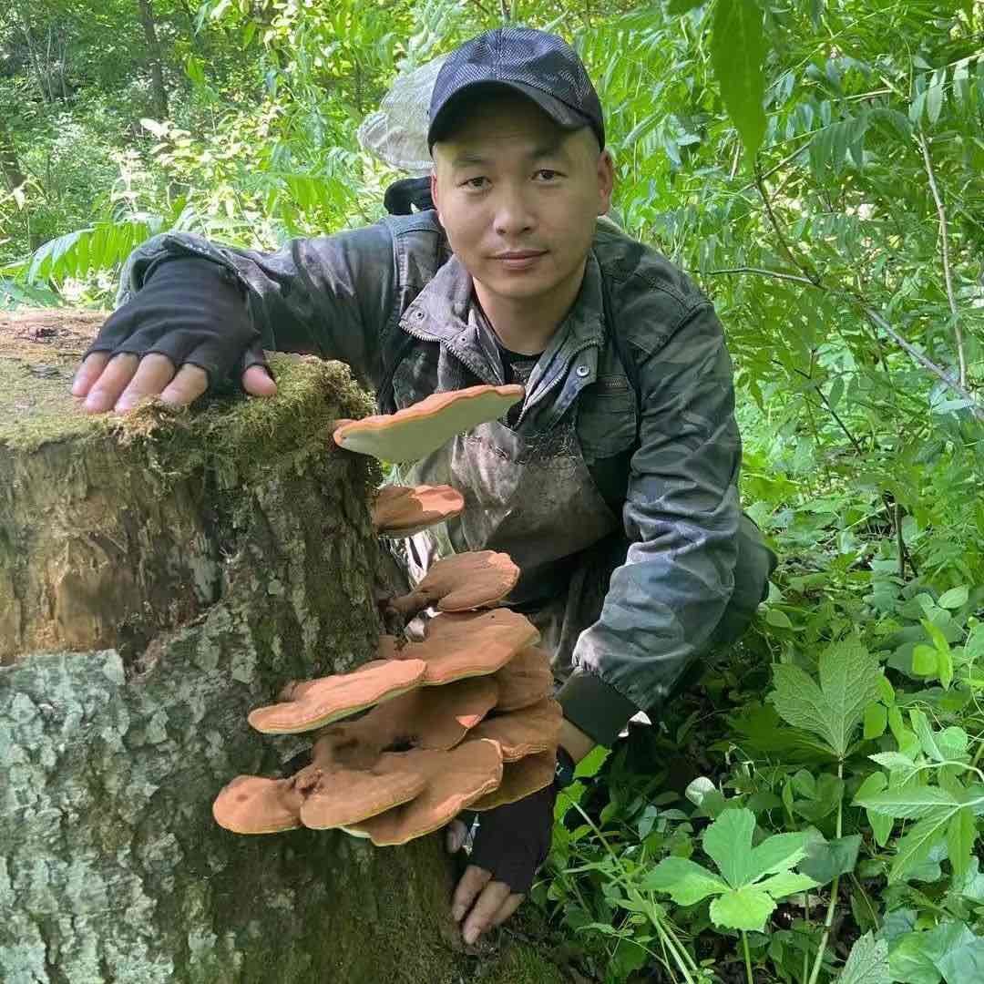 林区阿财