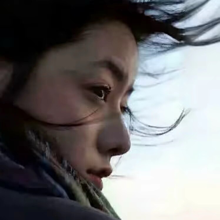 Sy花海.